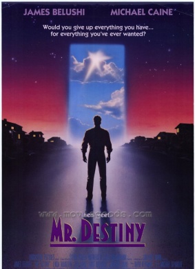 命运先生Mr. Destiny