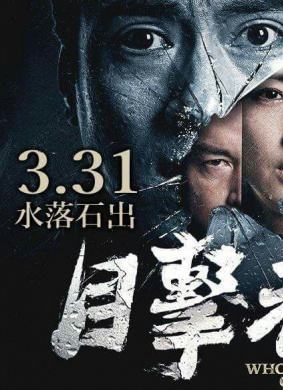 目击者Who killed Cock Robin?