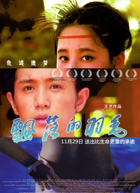 飘落的羽毛The Falling Feather