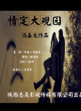 情定大观园