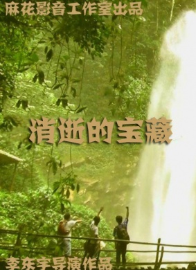 消逝的宝藏