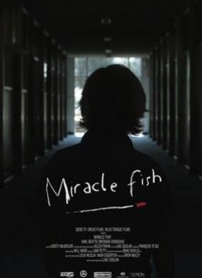 神秘鱼Miracle Fish