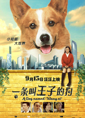 一条叫王子的狗Prince