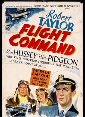 飞行太保Flight Command