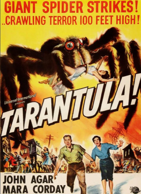 狼蛛Tarantula